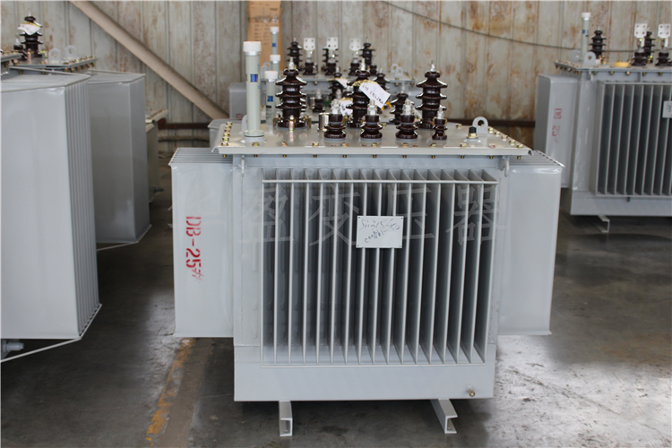 宁夏S20-800kVA/10kV/0.4kV变压器